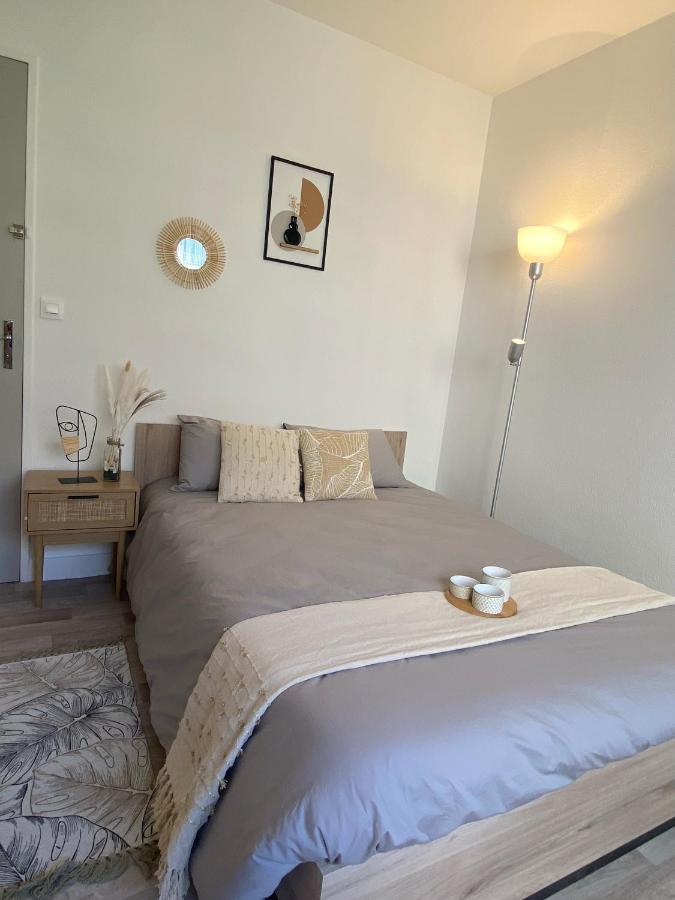 Confort & Elegance En Ville Avec Parking Gratuit Le Mans Exterior photo